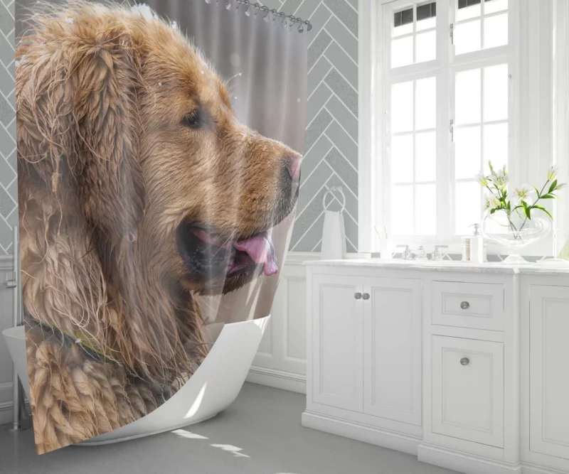 Golden Retriever Heartwarming Loyalty Beloved Companion Shower Curtain 1