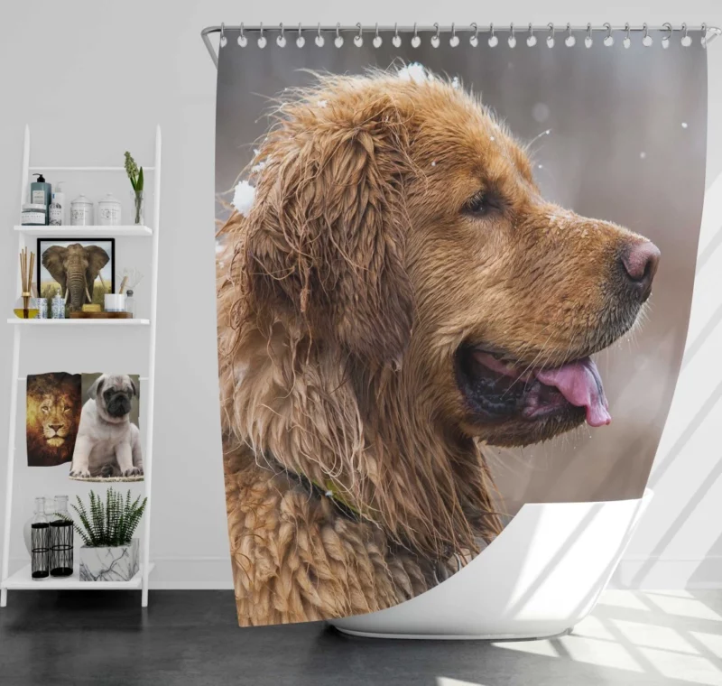 Golden Retriever Heartwarming Loyalty Beloved Companion Shower Curtain