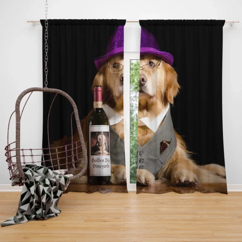 Golden Retriever Humorous Hat Moment Curtain