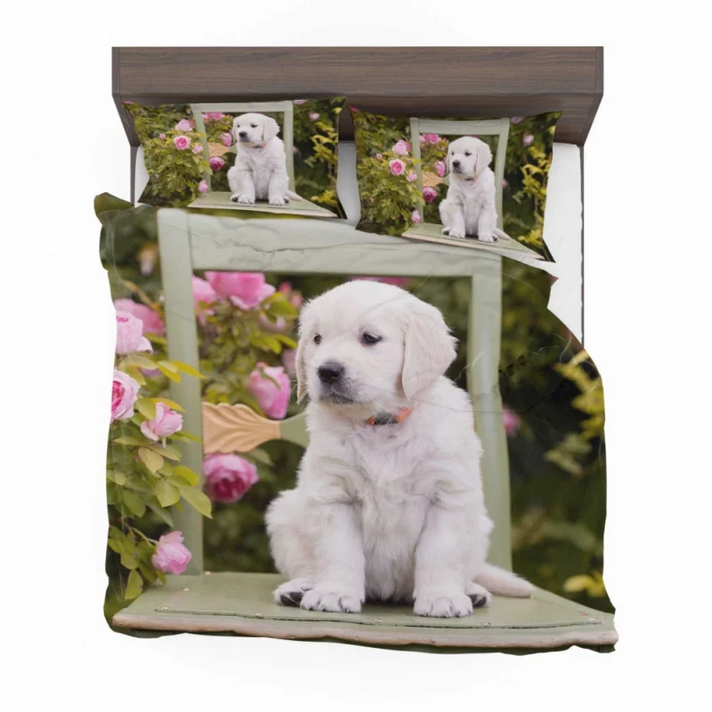 Golden Retriever Innocent Charm Bedding Set 1