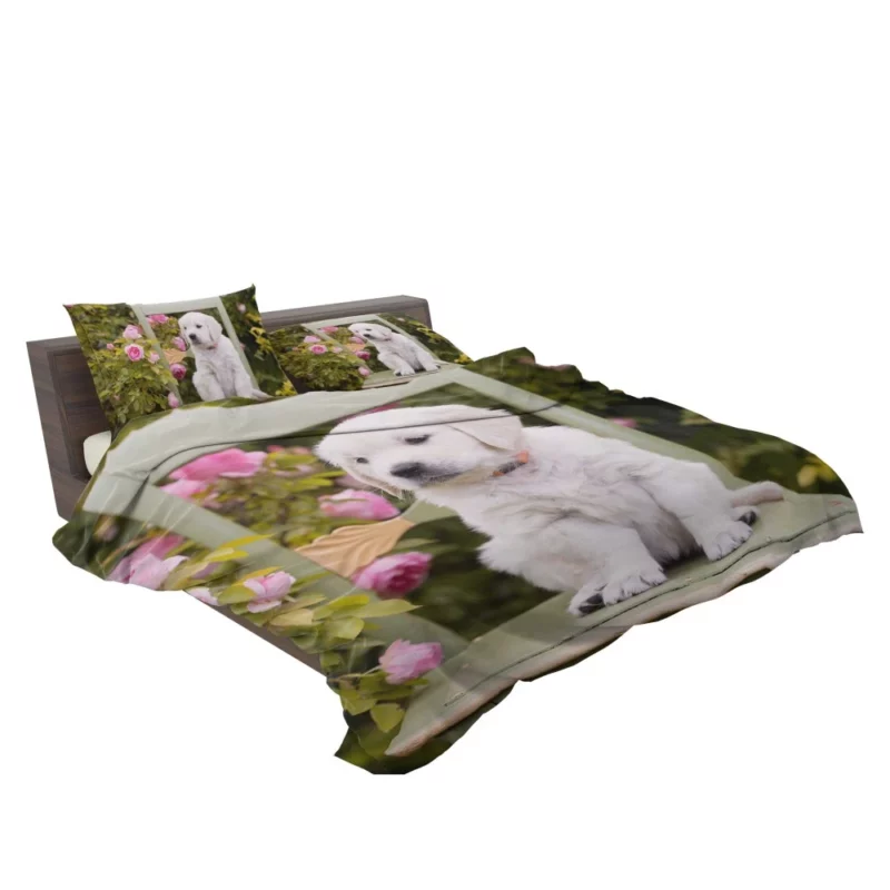 Golden Retriever Innocent Charm Bedding Set 2