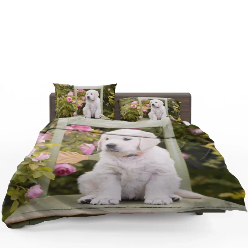 Golden Retriever Innocent Charm Bedding Set