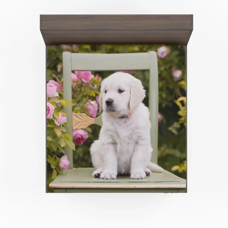 Golden Retriever Innocent Charm Fitted Sheet 1