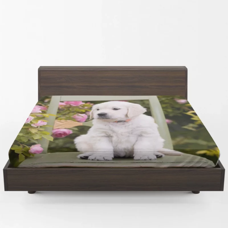 Golden Retriever Innocent Charm Fitted Sheet