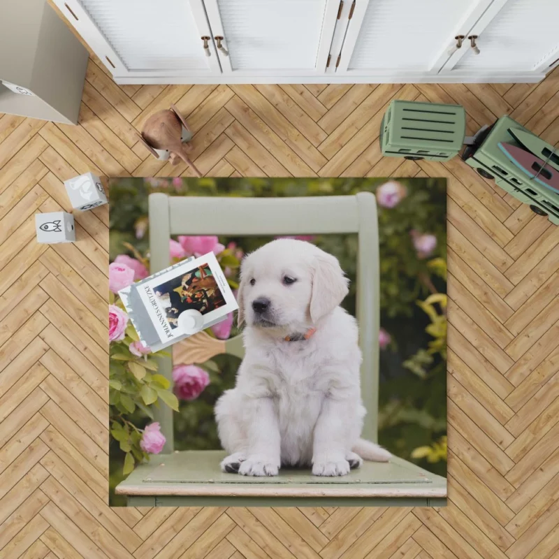 Golden Retriever Innocent Charm Rug