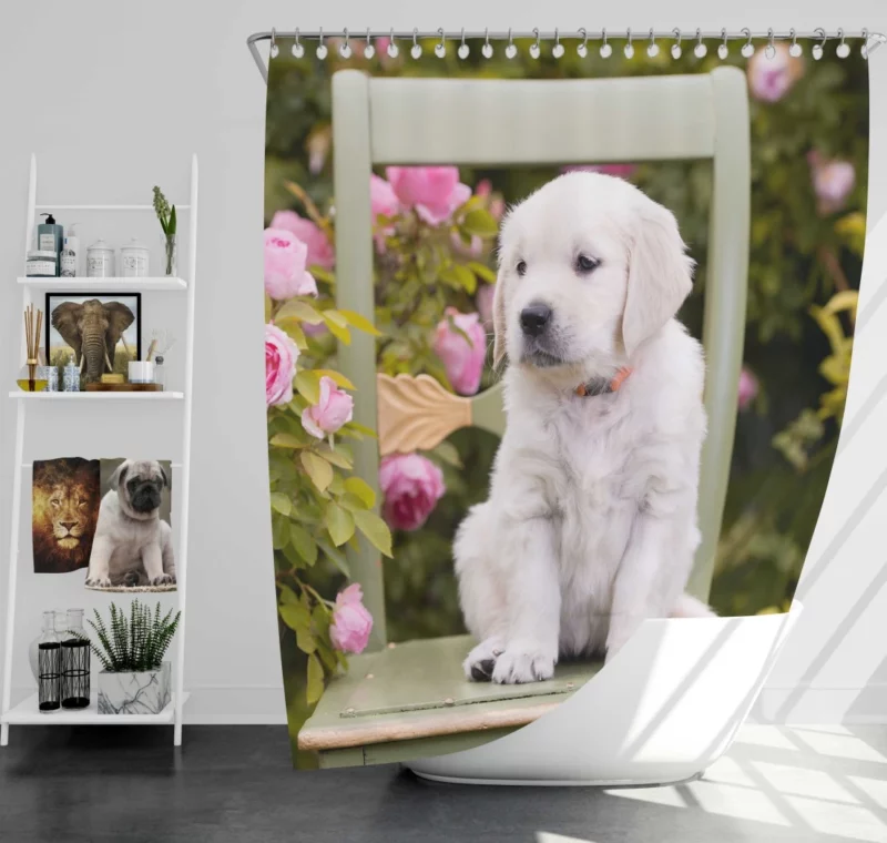 Golden Retriever Innocent Charm Shower Curtain