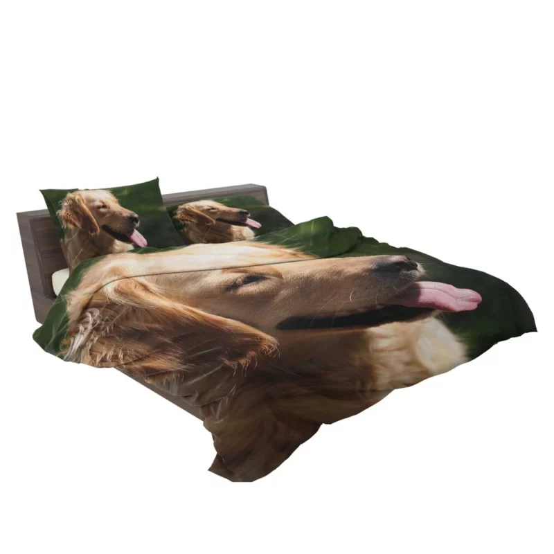 Golden Retriever Joyful Face Happiness Bedding Set 2