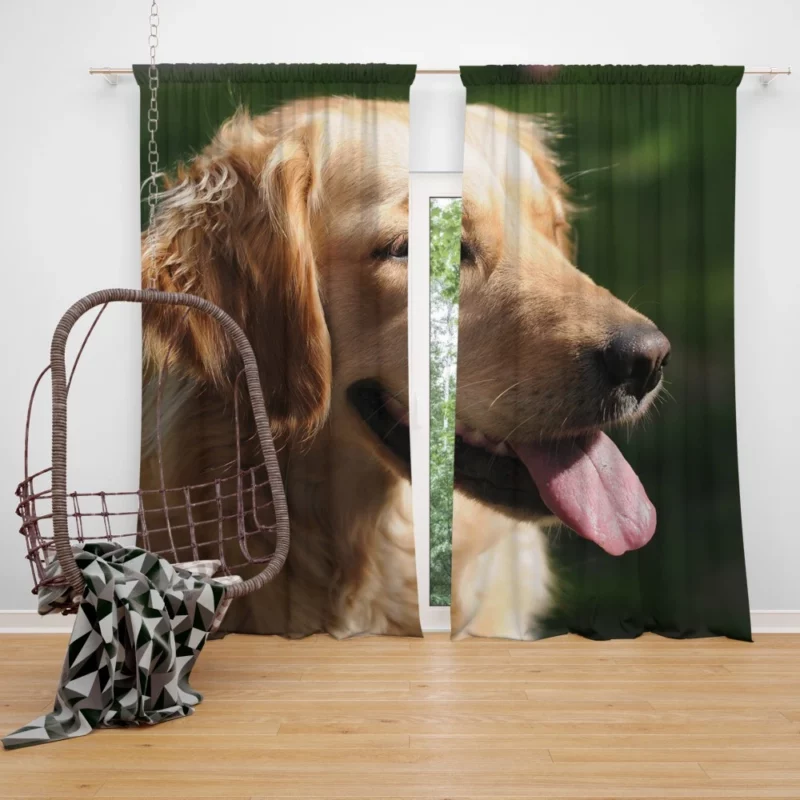 Golden Retriever Joyful Face Happiness Curtain