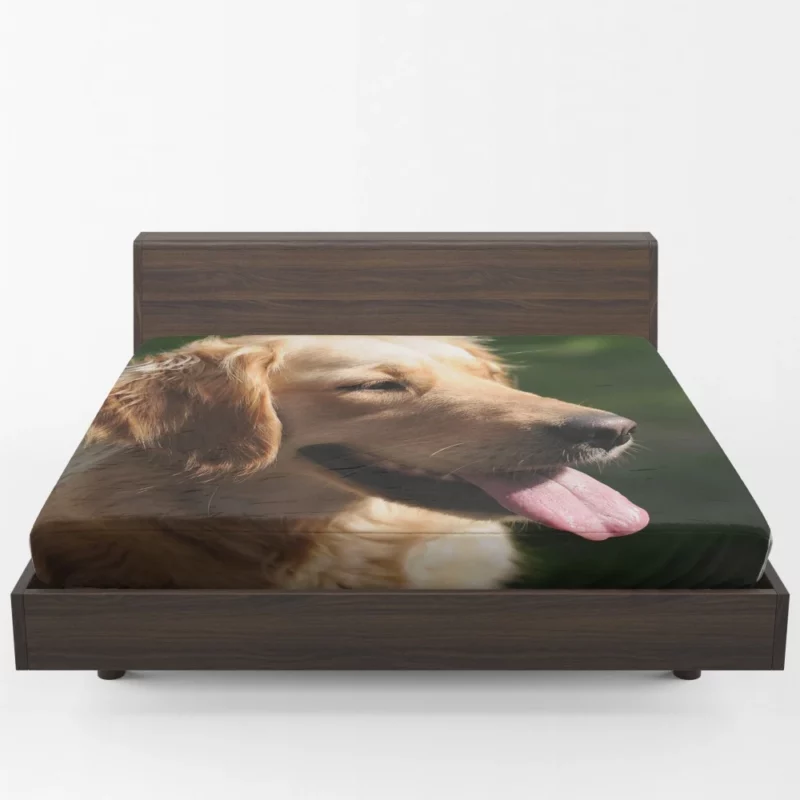 Golden Retriever Joyful Face Happiness Fitted Sheet