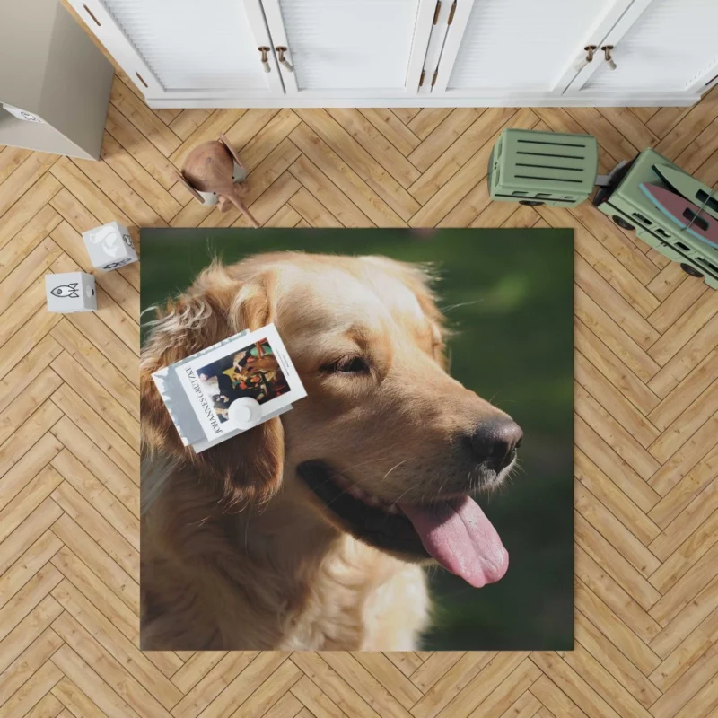 Golden Retriever Joyful Face Happiness Rug