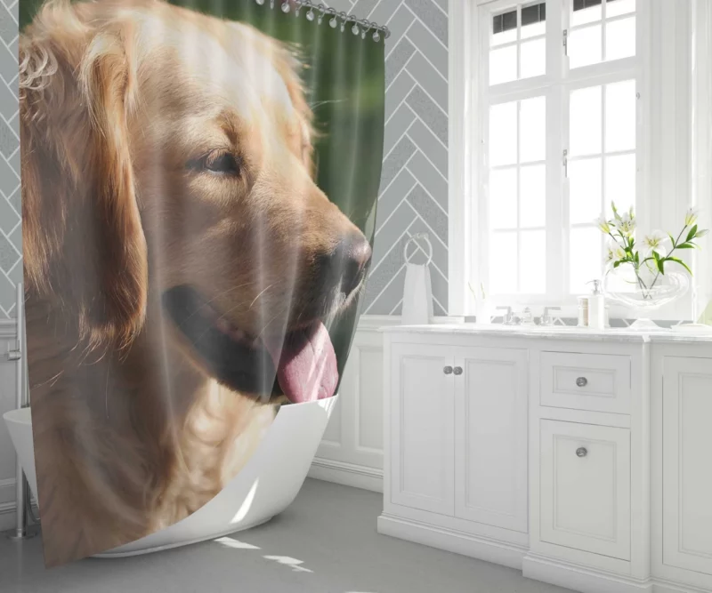 Golden Retriever Joyful Face Happiness Shower Curtain 1