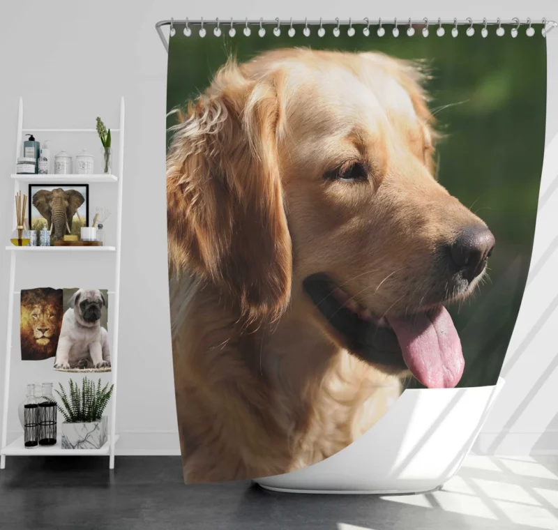 Golden Retriever Joyful Face Happiness Shower Curtain