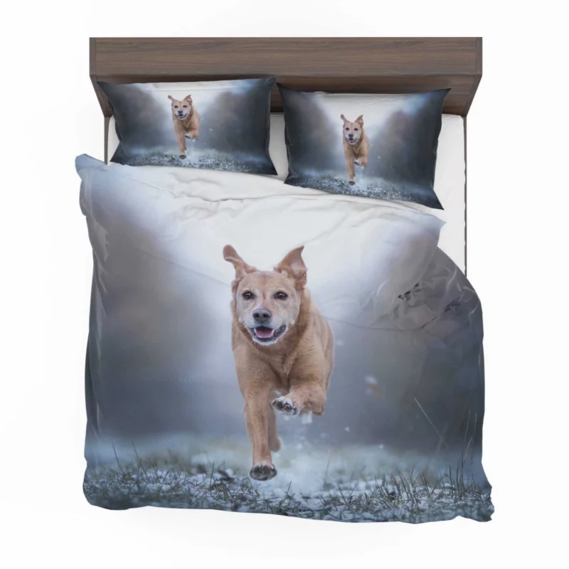 Golden Retriever Joyful Run Bedding Set 1