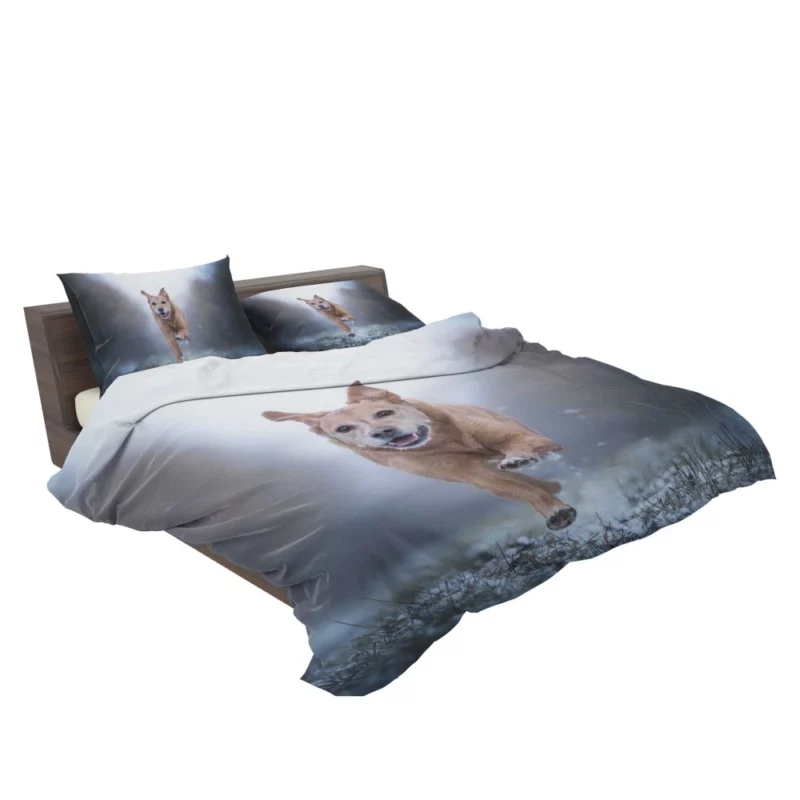 Golden Retriever Joyful Run Bedding Set 2