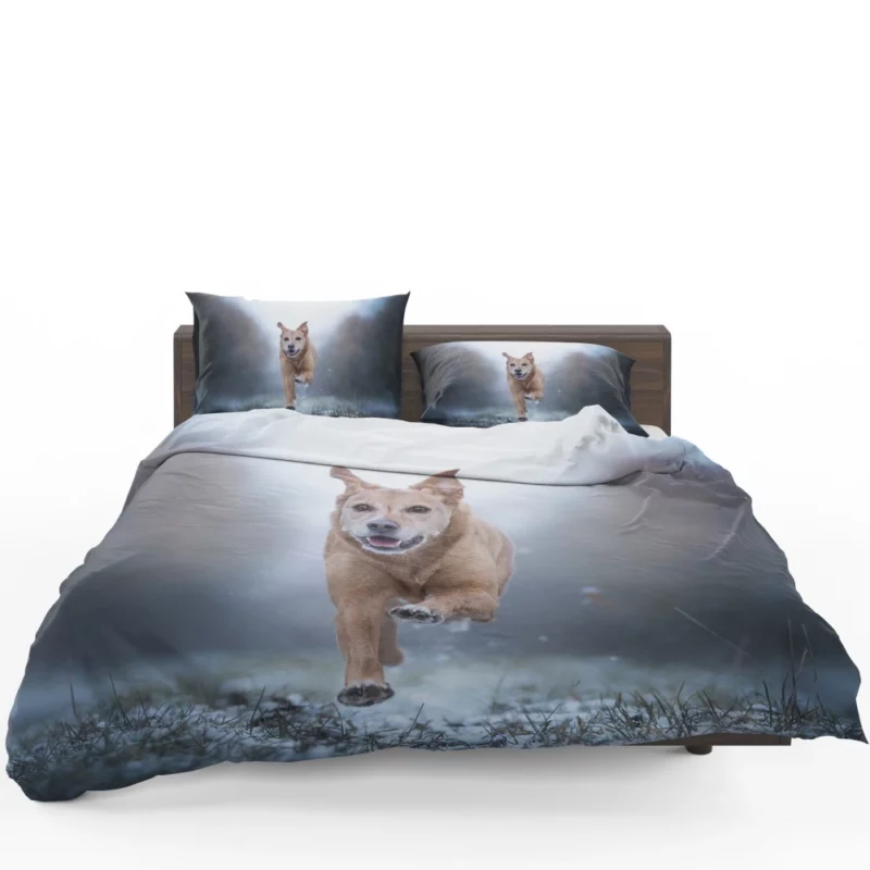 Golden Retriever Joyful Run Bedding Set