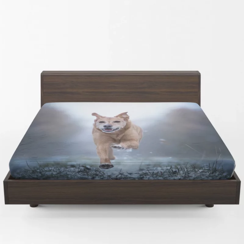 Golden Retriever Joyful Run Fitted Sheet