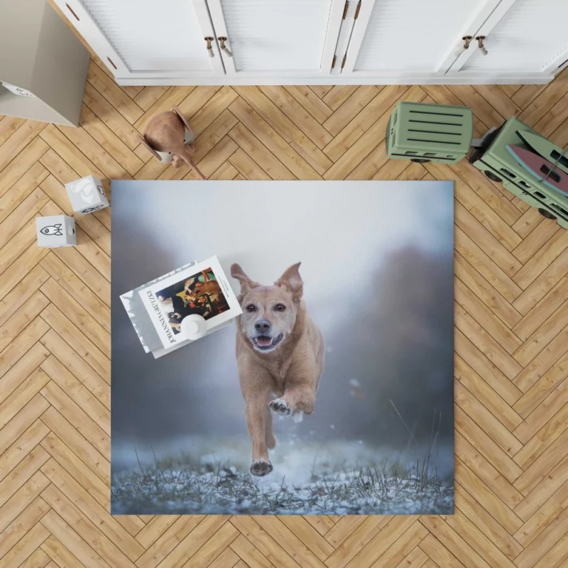 Golden Retriever Joyful Run Rug