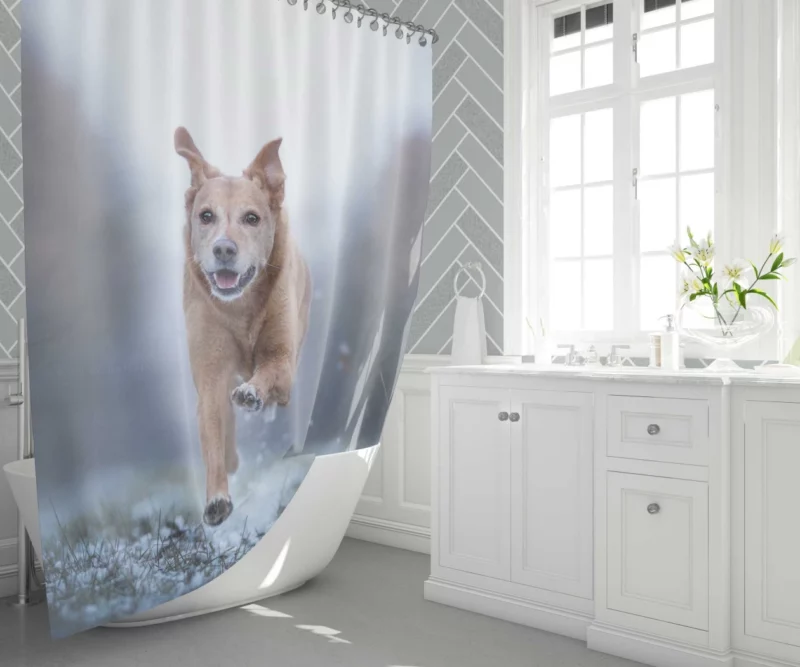 Golden Retriever Joyful Run Shower Curtain 1