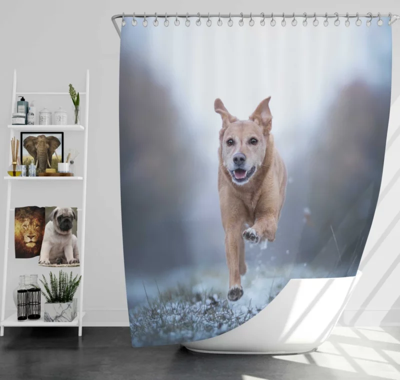 Golden Retriever Joyful Run Shower Curtain