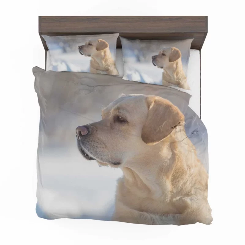 Golden Retriever Loyal Gaze Canine Love Bedding Set 1