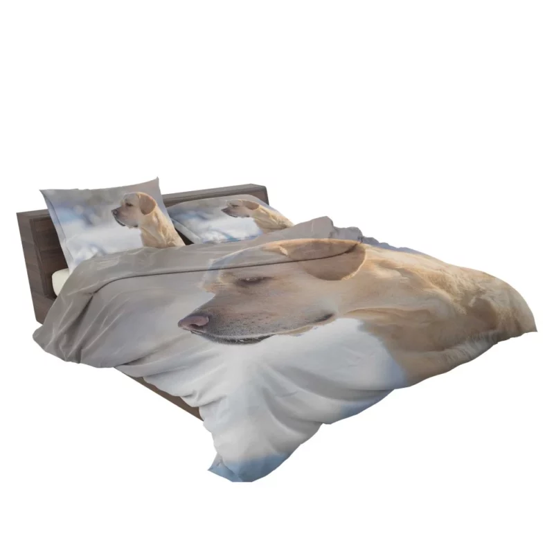 Golden Retriever Loyal Gaze Canine Love Bedding Set 2