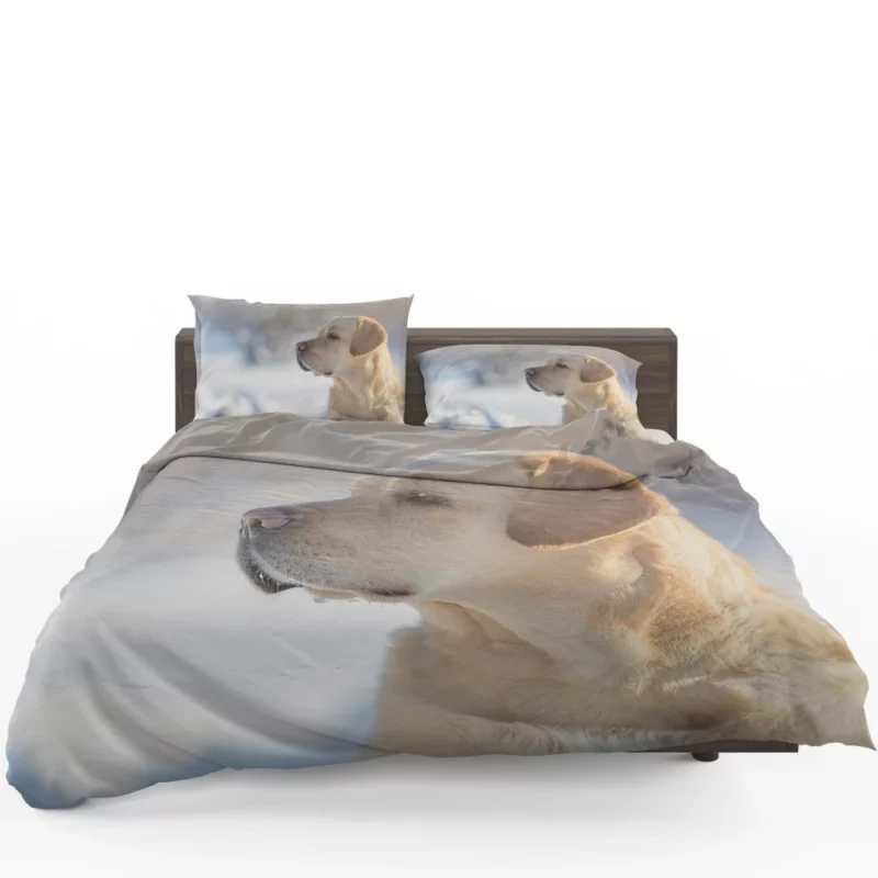 Golden Retriever Loyal Gaze Canine Love Bedding Set