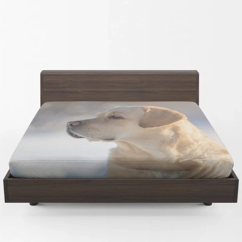 Golden Retriever Loyal Gaze Canine Love Fitted Sheet