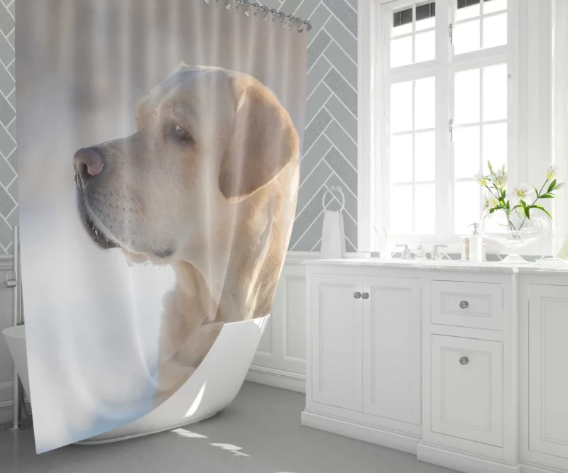 Golden Retriever Loyal Gaze Canine Love Shower Curtain 1