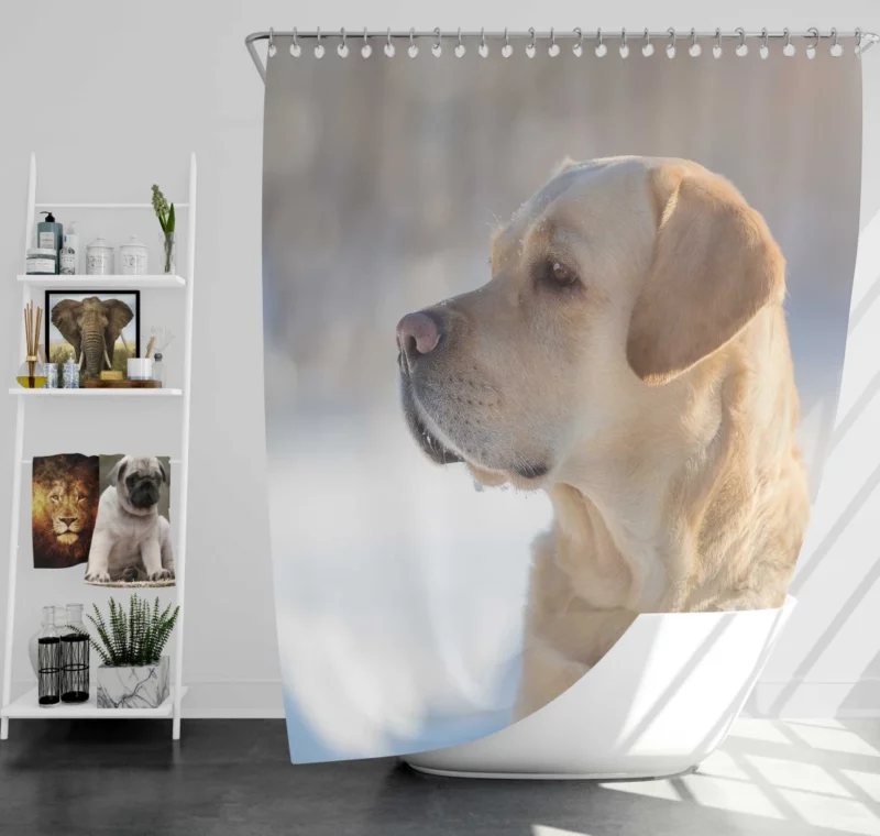 Golden Retriever Loyal Gaze Canine Love Shower Curtain