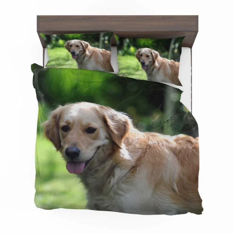 Golden Retriever Muzzle in Blur Canine Charm Bedding Set 1