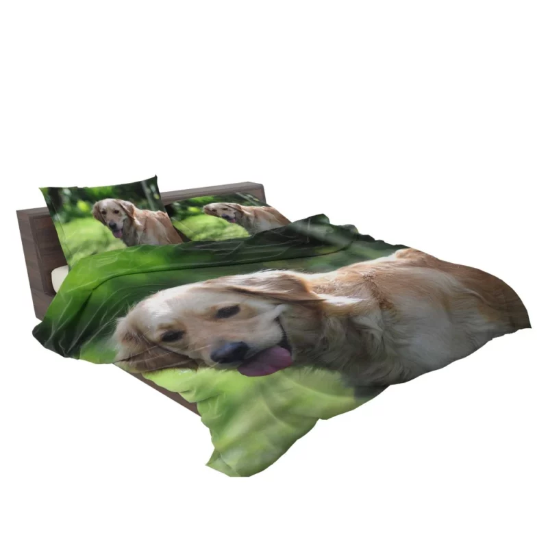 Golden Retriever Muzzle in Blur Canine Charm Bedding Set 2