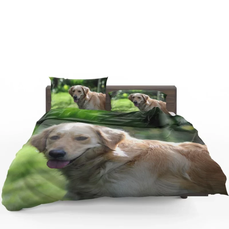 Golden Retriever Muzzle in Blur Canine Charm Bedding Set