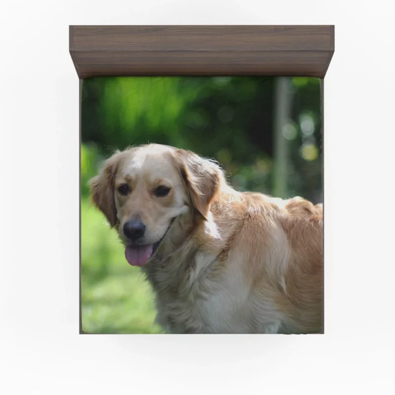 Golden Retriever Muzzle in Blur Canine Charm Fitted Sheet 1