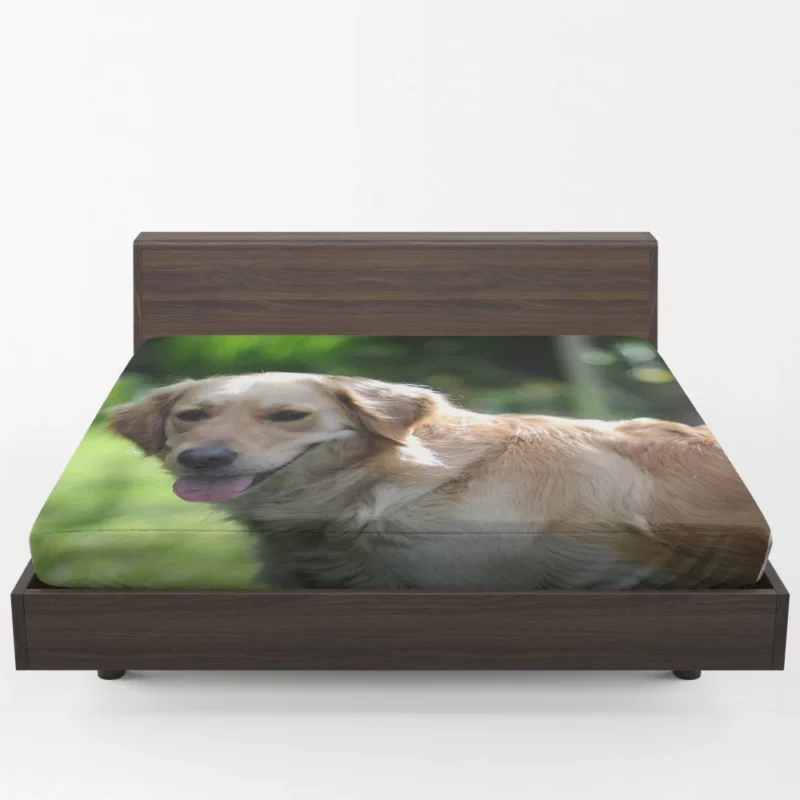 Golden Retriever Muzzle in Blur Canine Charm Fitted Sheet