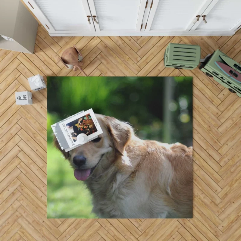 Golden Retriever Muzzle in Blur Canine Charm Rug