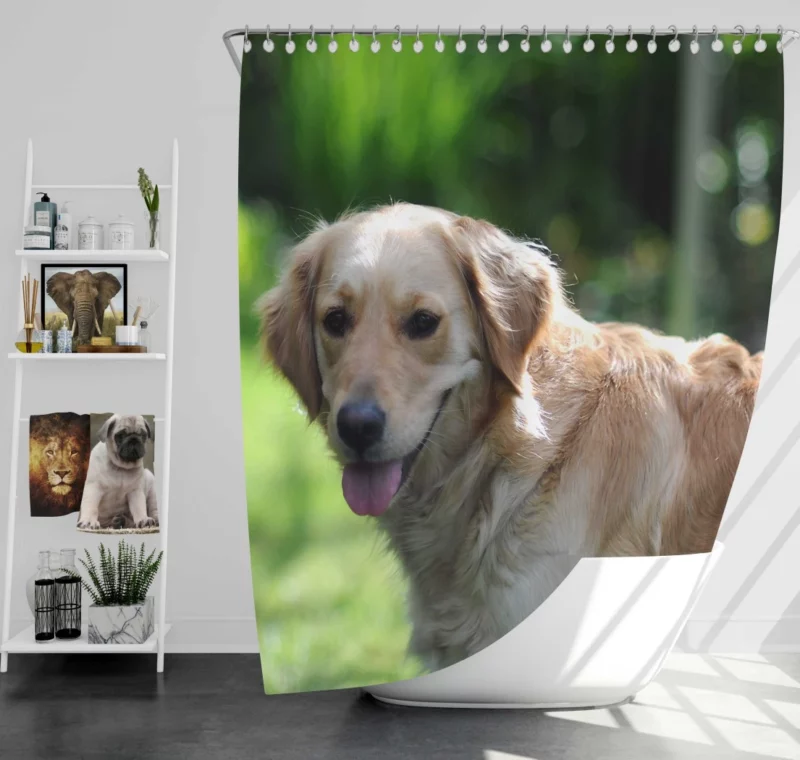 Golden Retriever Muzzle in Blur Canine Charm Shower Curtain