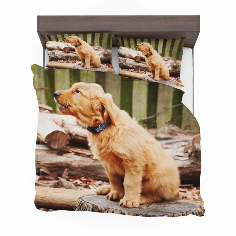 Golden Retriever Playful Barking Bedding Set 1