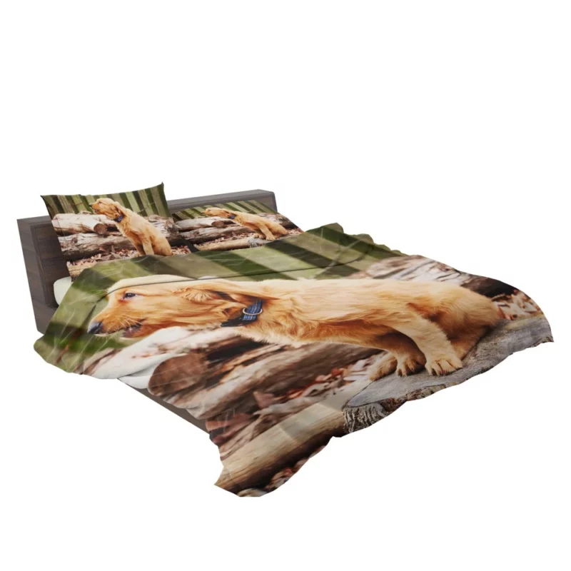 Golden Retriever Playful Barking Bedding Set 2