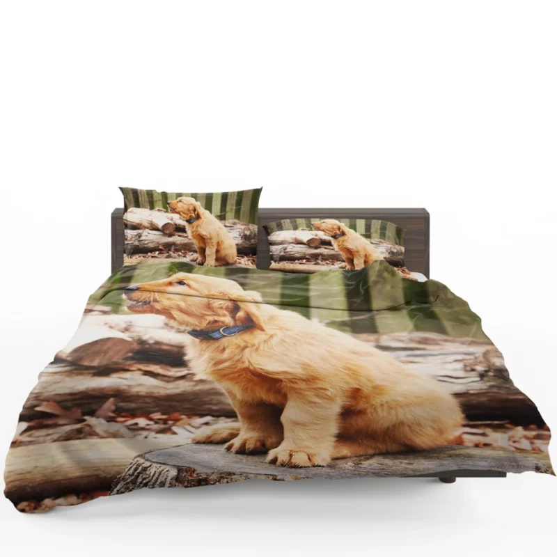 Golden Retriever Playful Barking Bedding Set