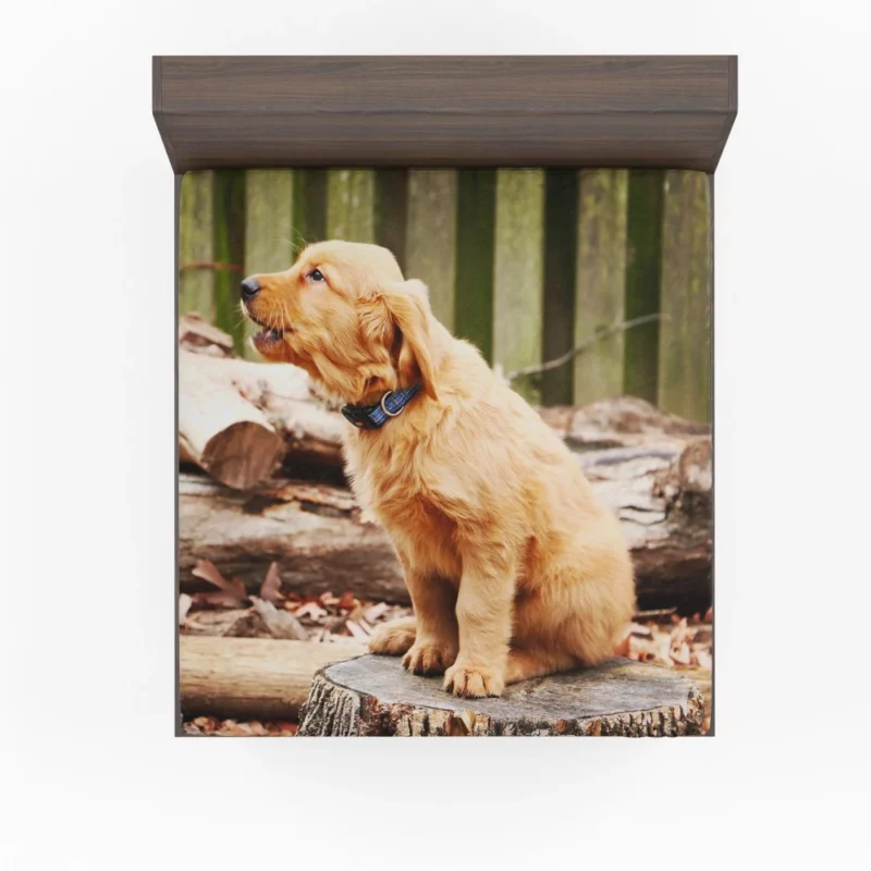 Golden Retriever Playful Barking Fitted Sheet 1