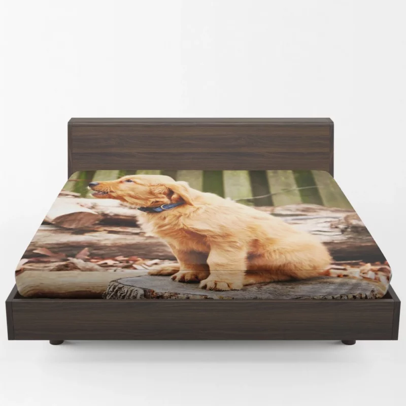 Golden Retriever Playful Barking Fitted Sheet