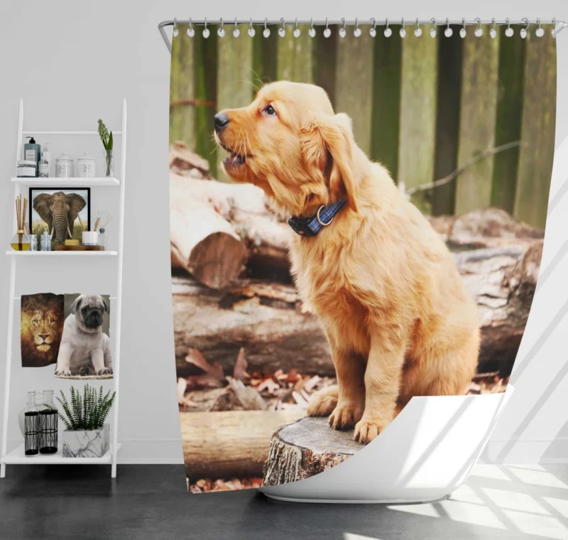 Golden Retriever Playful Barking Shower Curtain