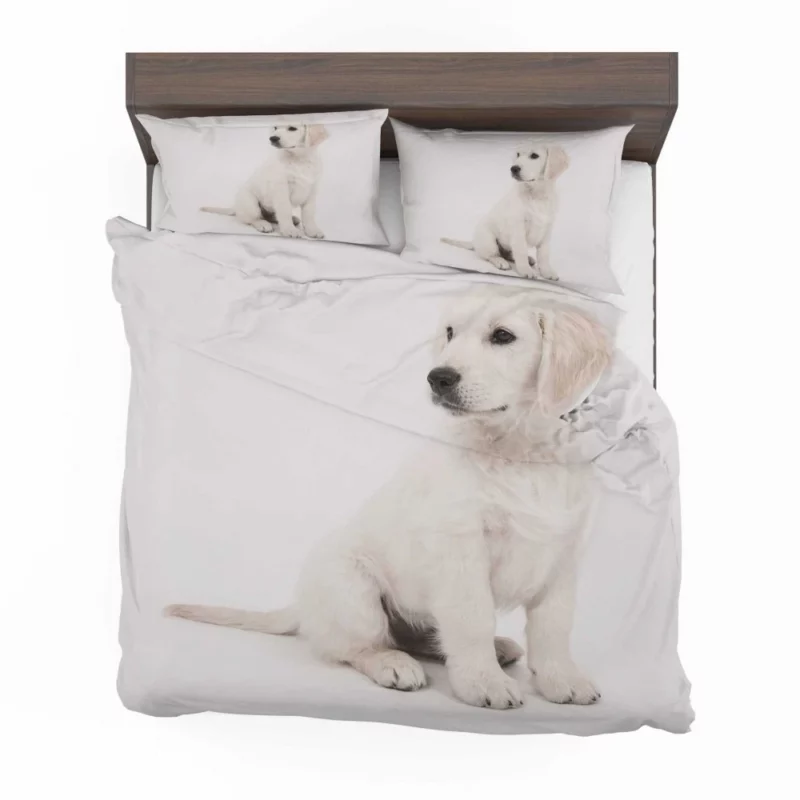 Golden Retriever Playful Presence Bedding Set 1