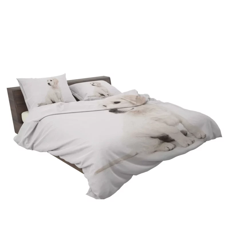 Golden Retriever Playful Presence Bedding Set 2