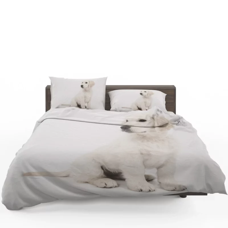 Golden Retriever Playful Presence Bedding Set