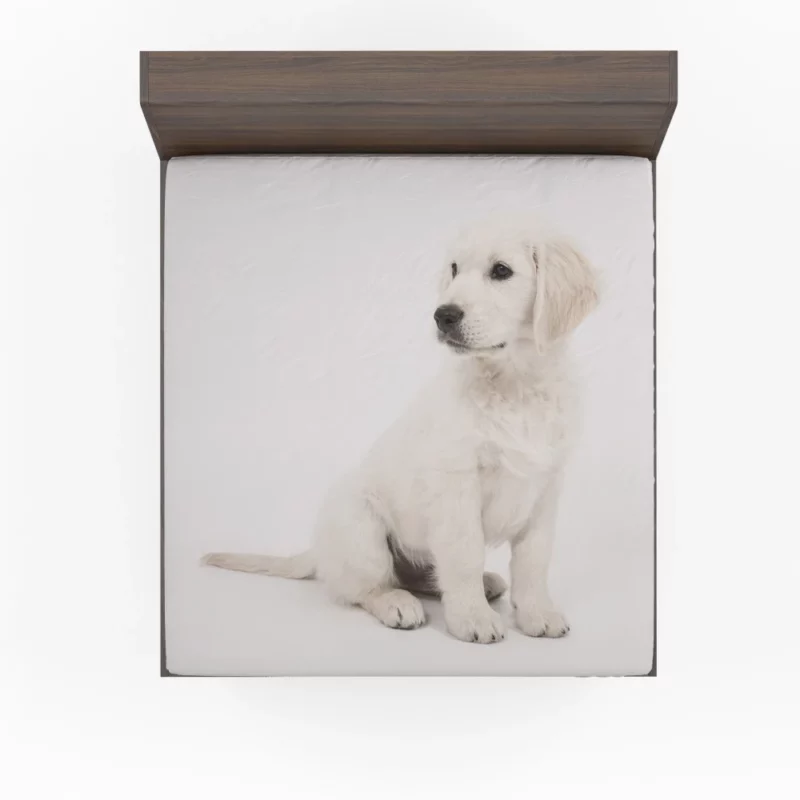 Golden Retriever Playful Presence Fitted Sheet 1