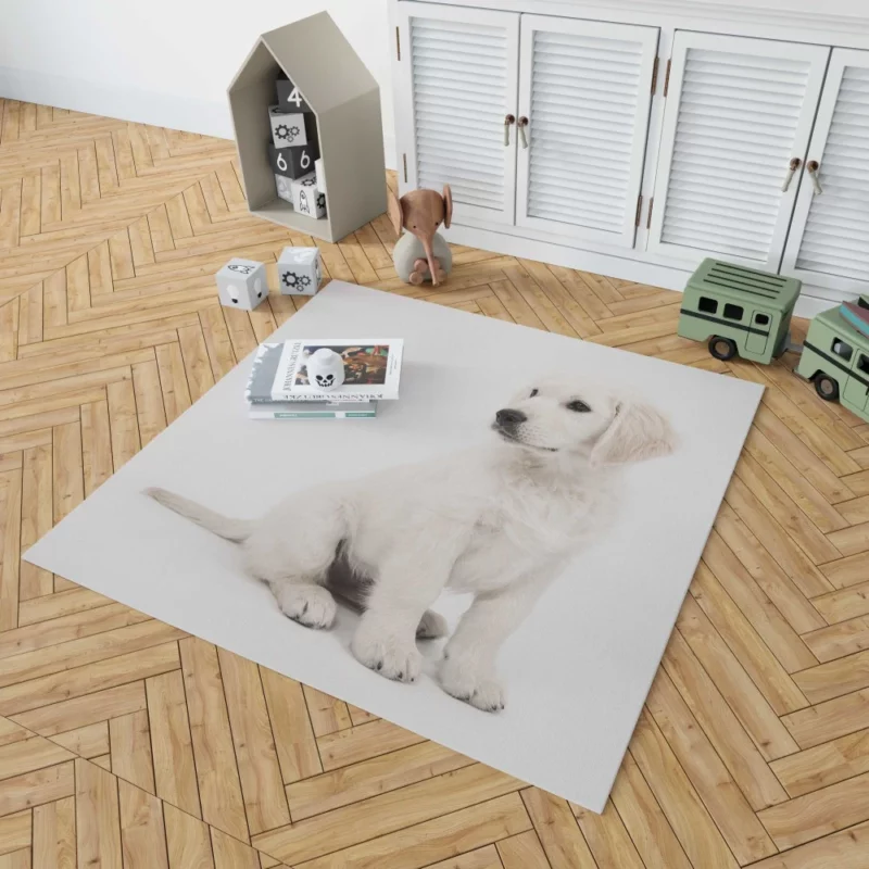 Golden Retriever Playful Presence Rug 1