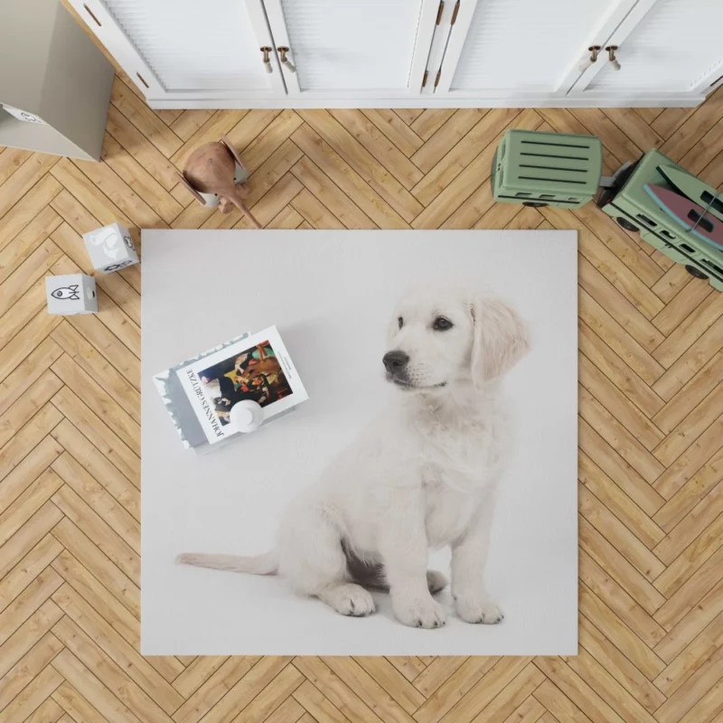 Golden Retriever Playful Presence Rug