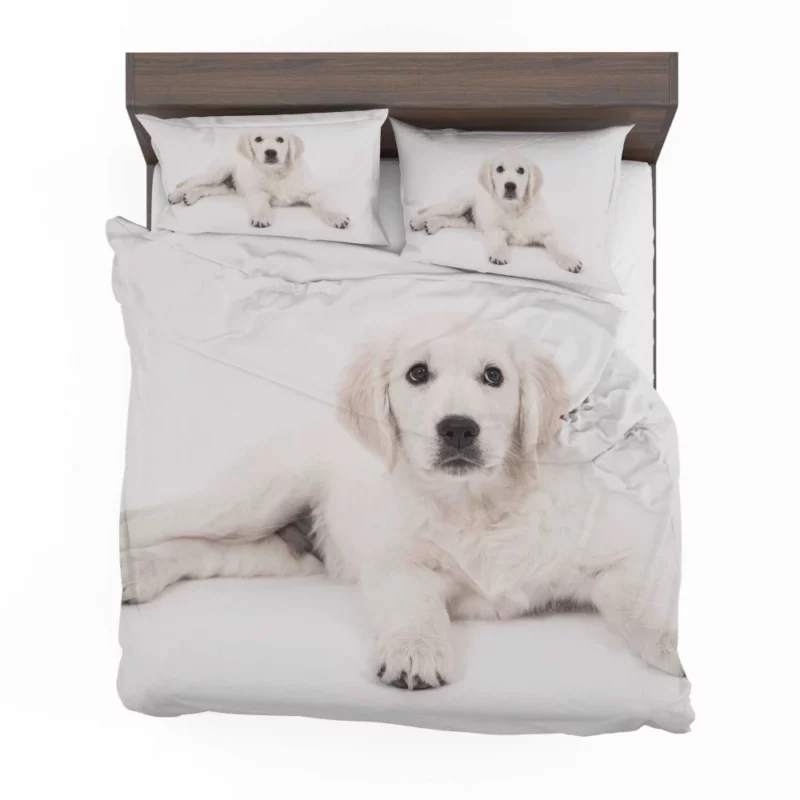 Golden Retriever Pup Delight Bedding Set 1