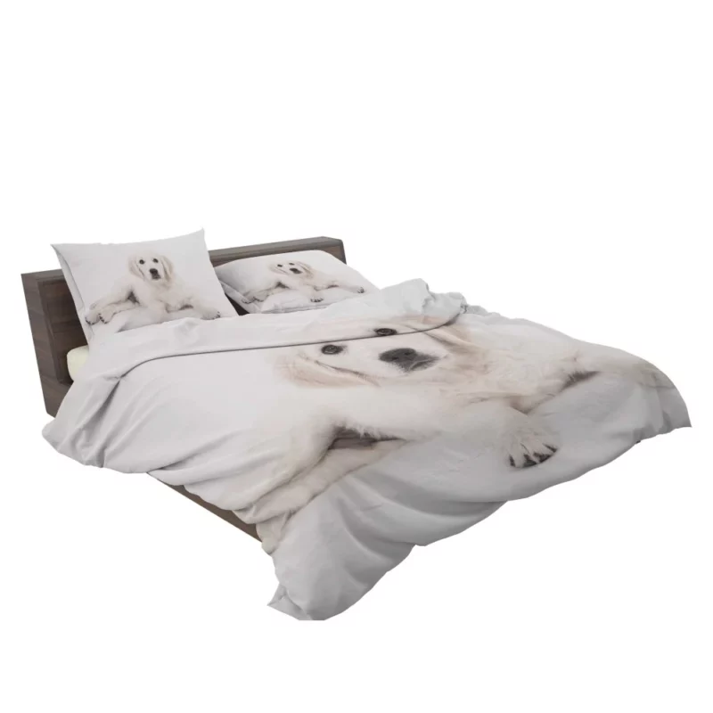 Golden Retriever Pup Delight Bedding Set 2